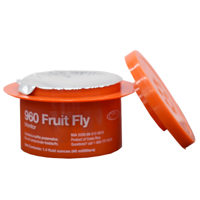  Fruit Fly Trap, 12/cs