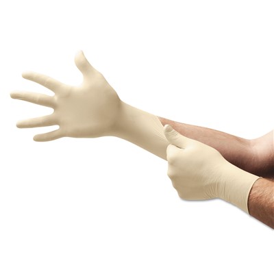 XT Premium Latex Disposable Gloves, Powd