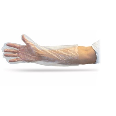 18" Clear Polyethylene Gloves, 250/bx