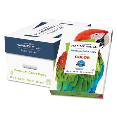 Premium Color Copy Print Paper, 100 Brig