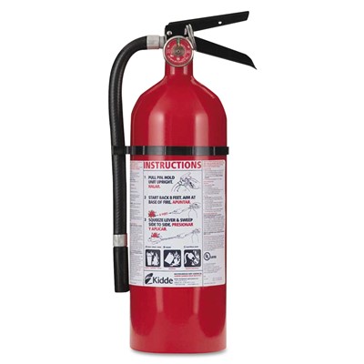 Pro 210 Fire Extinguisher, 4lb, 2-A, 10-