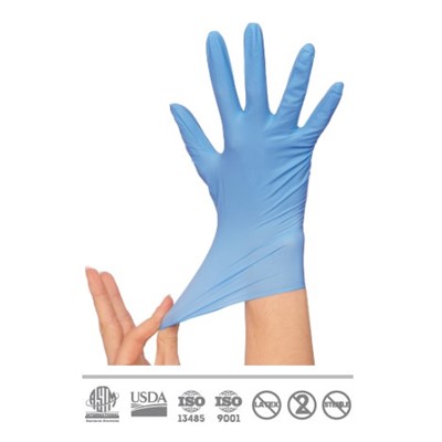 Nitrile Gloves, Exam, Blue, Large