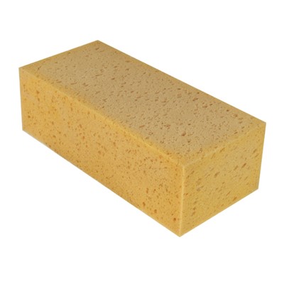 The Sponge, Unger