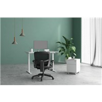Friant Home Office Cluster A